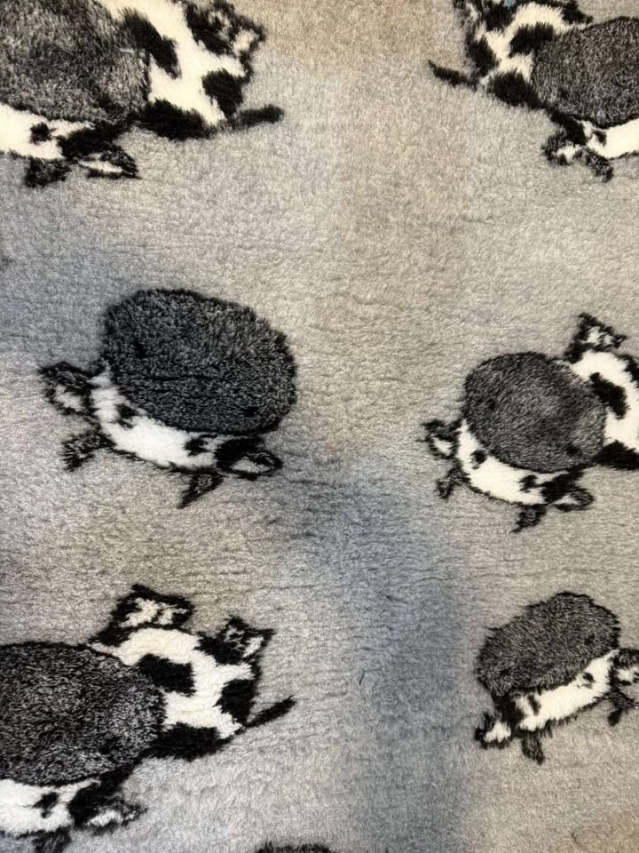 highland cow on grey Vet Bedding 1mt x 1.5 Mtr