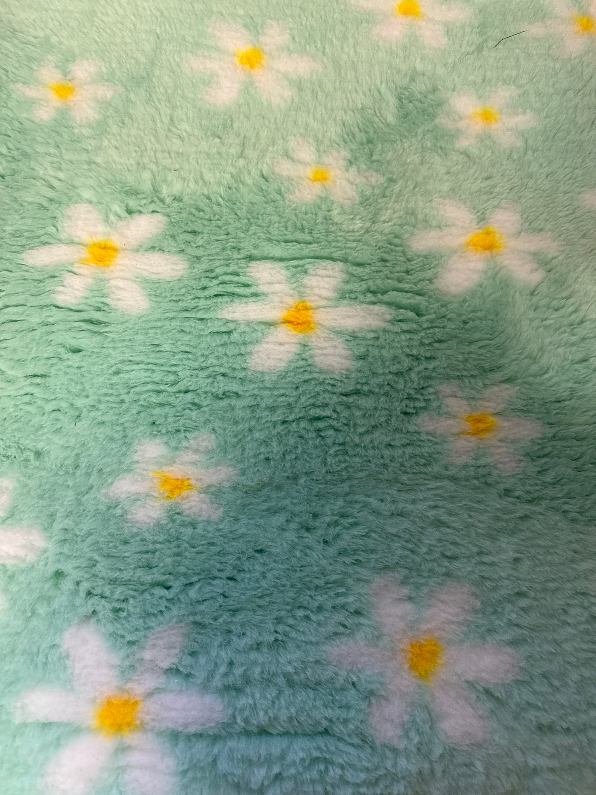 Daisy Vet Bedding 1mt x 1.5 Mtr