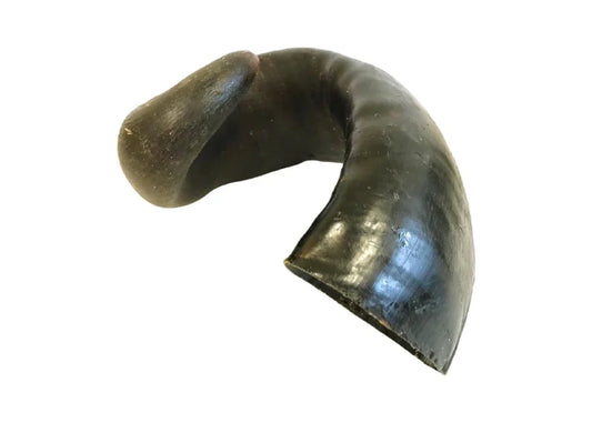 Buffalo Horn (empty) large 1pk