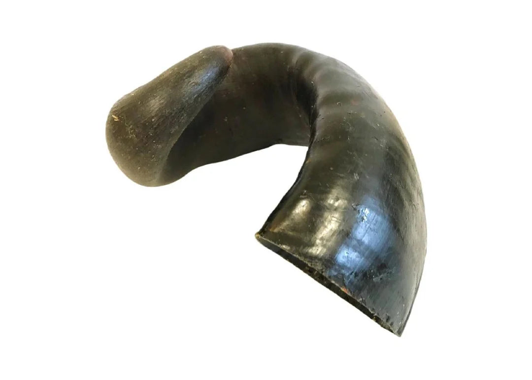 Buffalo Horn (empty) small 4pk