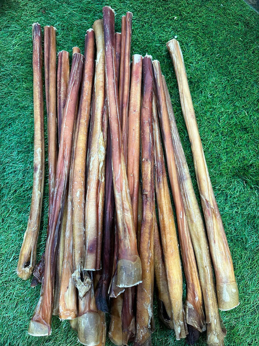 pizzle long 40cm 10pk